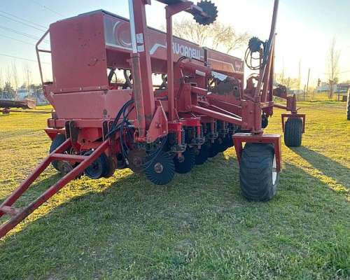 Crucianelli Gringa V 12 a 52,5