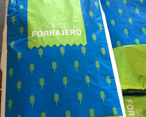Sorgo Forrajero Hs Mursi