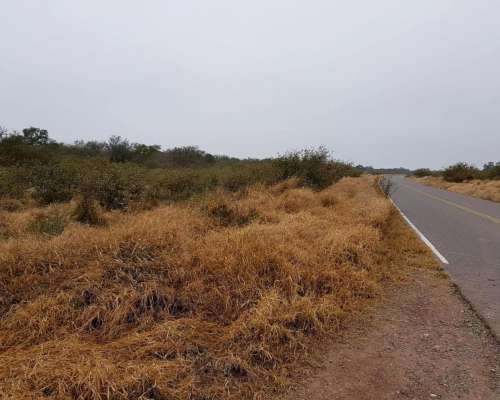 Nueva Esperanza, Pellegrini, Santiago del Estero - 700 Ha