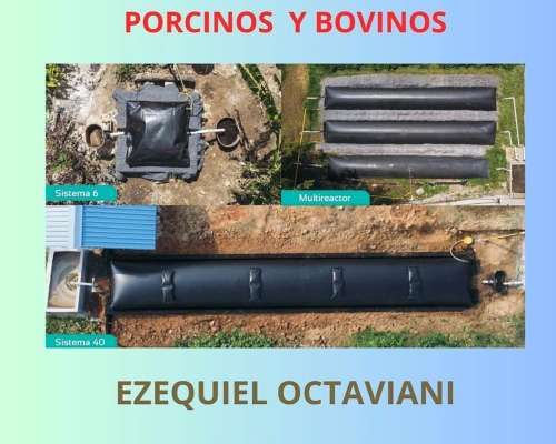 Digestores para Productores Porcinos y Bovinos