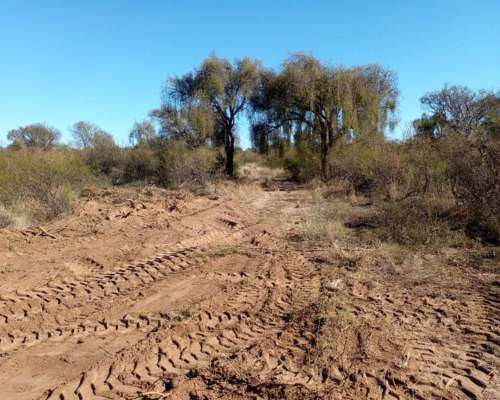 Ulapes (LA Rioja) 4.200 Has