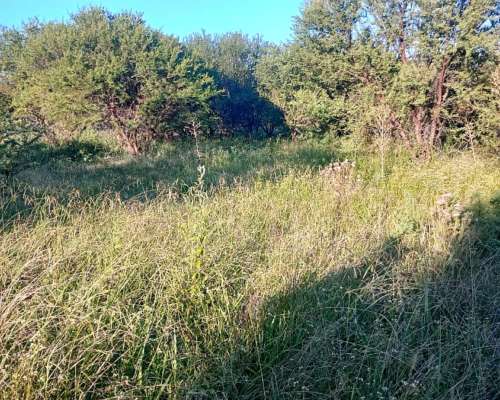 124 Ha Ganaderas. Campo Mixto. Zona Paraná