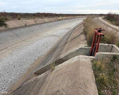 Viedma- 650 Ha - Río Negro