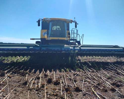 Cosechadora New Holland CR6.80 - Draper 35 Pies
