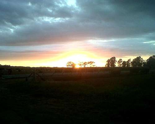 Vendo Máquina Clasificadora Indua 2006 Completa