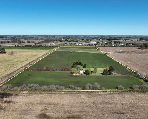 20 Has. Chacra Alomada en Carlos Keen