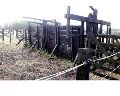 Campo en Venta en Punta Indio - 93 Hectáreas Sobre Ruta