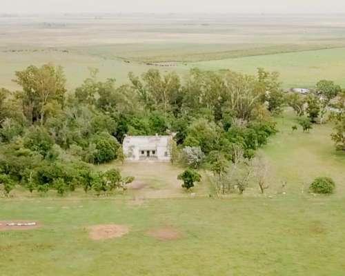 1166 Ha Mixtas Carlos Tejedor, BS. AS. Transf. Paq. Accion.