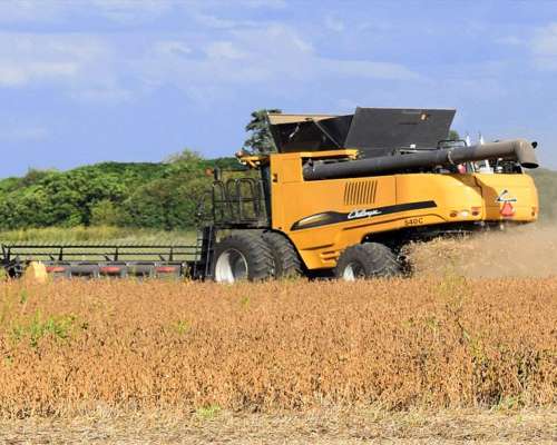 Cosechadora Challenger 560c 0km Nueva