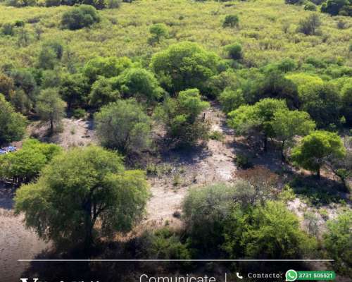 150 Has en Venta - Pcia del Chaco, Villa Berthet