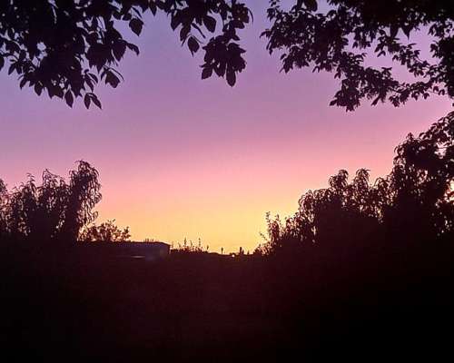 San Rafael Finca de 64 Has con Pozo Sobre Ruta 154