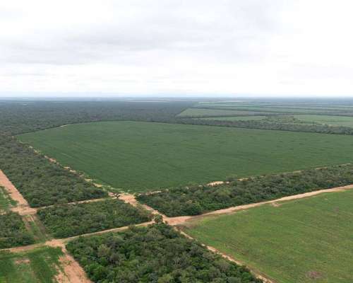 Pcia. de Salta - las Maravillas 2889 Has