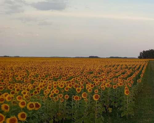 Gran Oportunidad en Lobería
