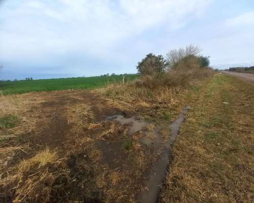 48 Hectareas Campo Agricola