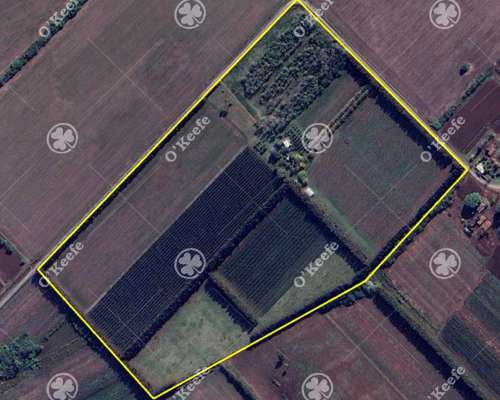 Chacra en Venta de 32 Has en San Pedro. Producción de Kiwi.
