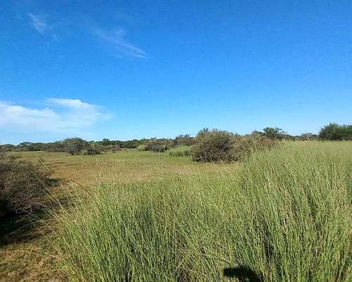 Campo Mixto 360 Hectareas
