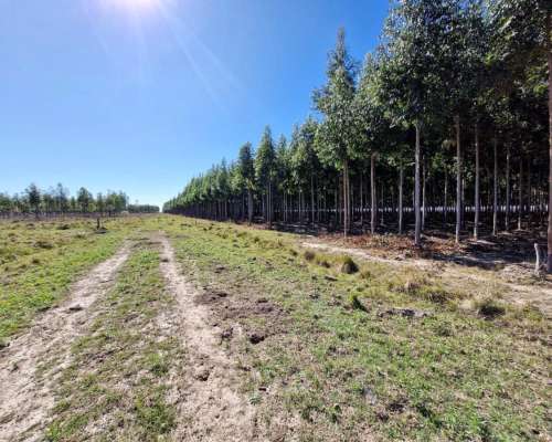 Mercedes, Corrientes - 4.050 Ha