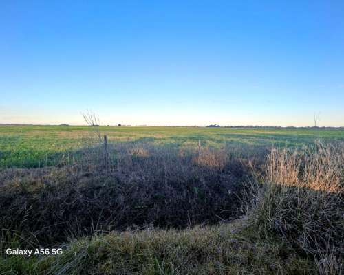 Venden 132 Ha Dep. las Colonias.( Virginia)