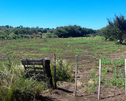 Zona Villa de Soto Campo Ganadero