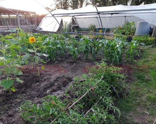 Excelente Campo 13 Has con Cabañas en Maldonado, Uruguay