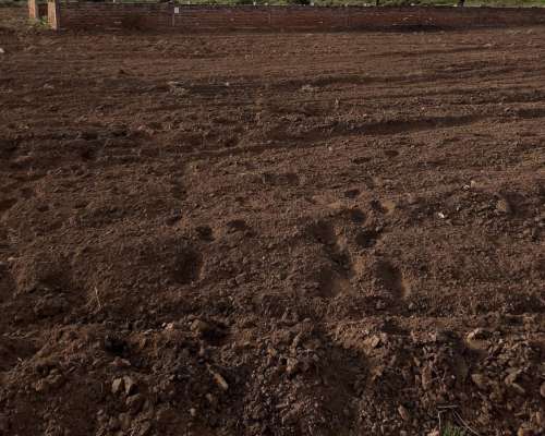 Campo con Casa y Escritura