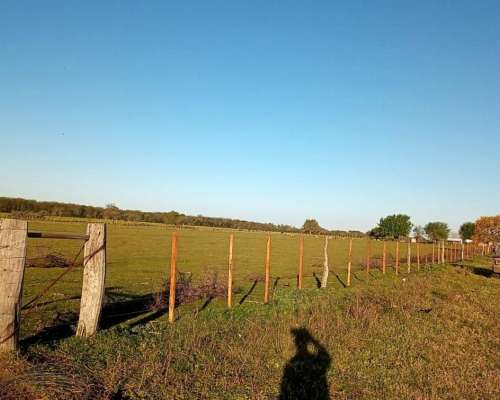 Venta Campo Agrícolas - Lucas Norte, Villaguay, Entre Ríos