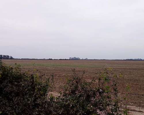 190 Campo Agricola Entre Pampayasta , TIO Pujio, James Craik