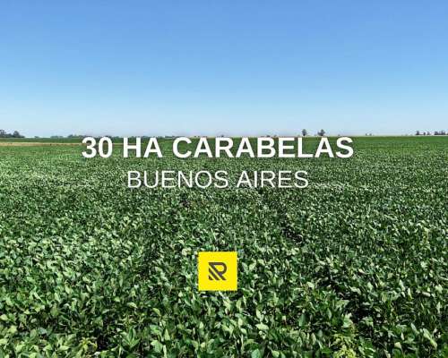 30 Ha Carabelas Agricolas