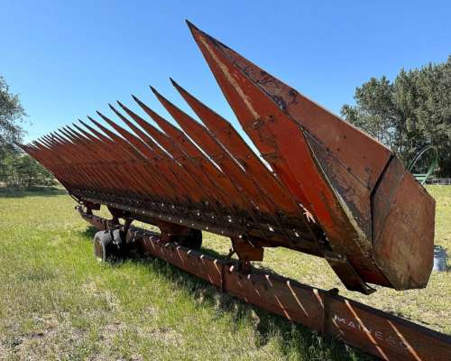 Girasolero Mainero 1035 de 10a70