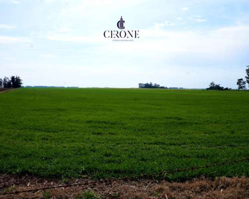 Venta - Campo - 12 Hectareas - Mechongue