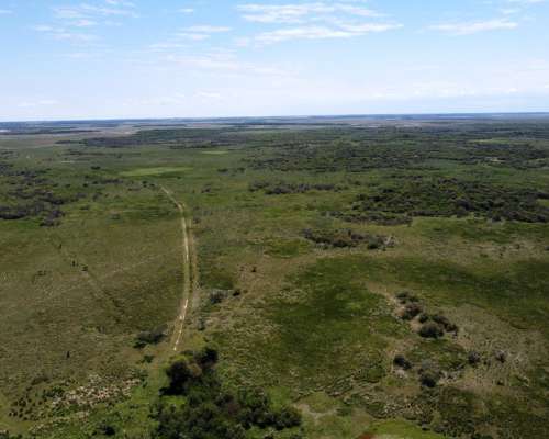Campo Ganadero 1.635 Ha en Venta – Zona San Javier, Santa FE