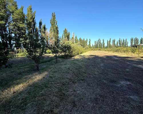 Finca en Venta de 9 Hectáreas / San Rafael - Mendoza