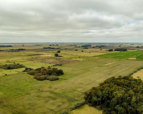 General Mansilla, Magdalena, Buenos Aires - 78 Ha
