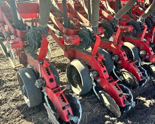 Crucianelli Gringa Precision Planting 16 a 52