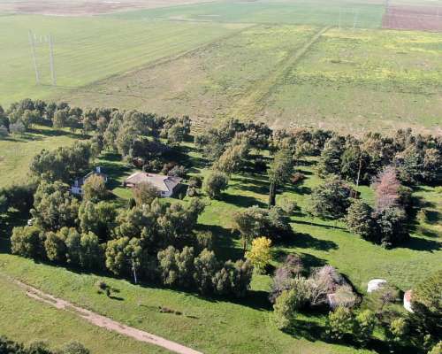 1520 Has Coronel Dorrego, Buenos Aires - Agrícola - Venta