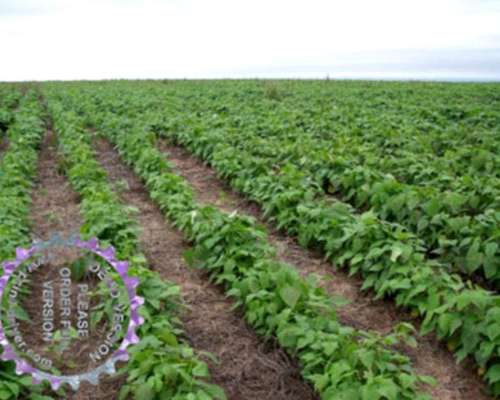 1.071 Ha el Galpon, Salta. Oferta y Financiacion