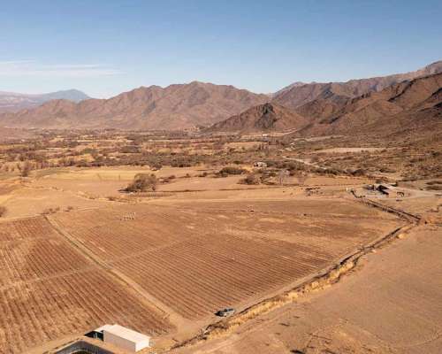 Pcia. de Salta - Bodega Miraluna - Cachi 16 Has