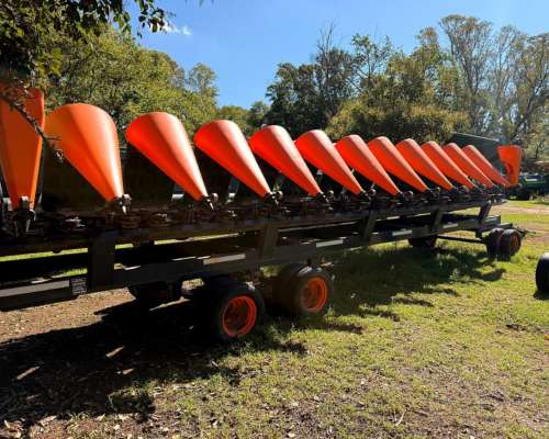 Maicero Stara de 16/52