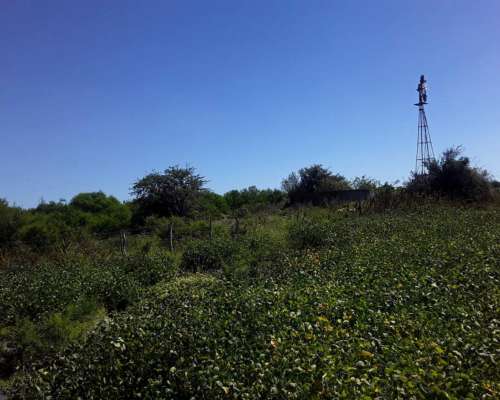 650 Hectareas Mixtas E. Rios