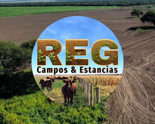 3700 Hectareas, en la Maruja - la Pampa