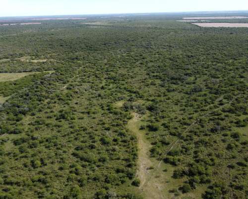594 Has muy Buen Campo Ganadero en Venta Dpto. Federal