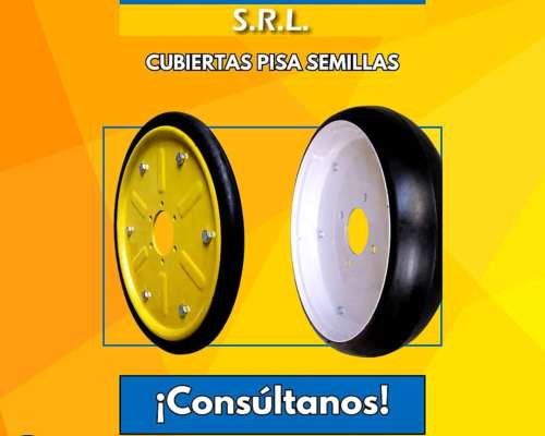 Cubiertas Pisa Semillas para Todos los Modelos y Medidas