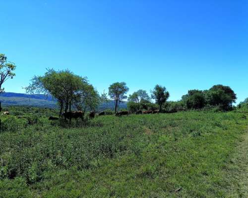 Campo 200 HA. con Rios, Casa e Internet