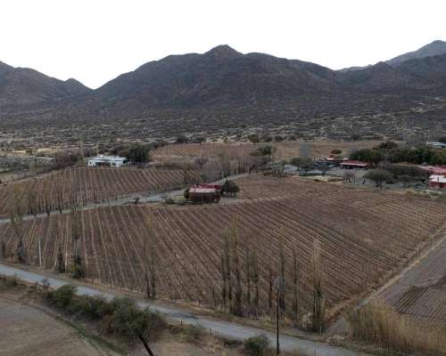 Pcia. de Salta - Bodega Miraluna - Cachi 16 Has