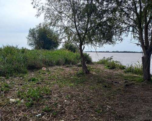 Islas de Ibicuy, Entre Rios - 450 Ha