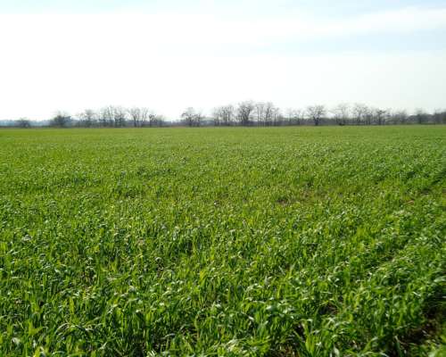 Campo Mercedes - Producción y Turismo