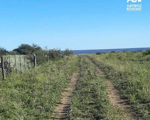 Campaso Mixto en Villa Iris