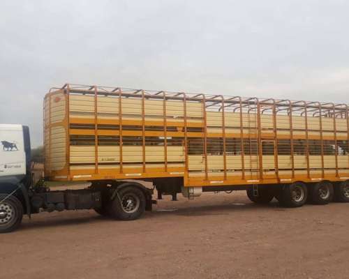 Jaula Doble Sola y Brusa Modelo 2008 con 250.000 km de USO