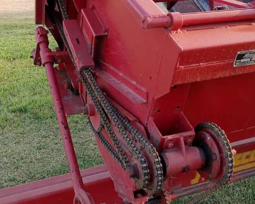 Girasolero Maizco de 10 a 70. año 1998.