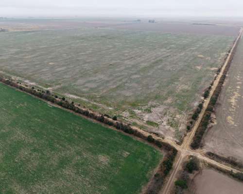 Venta 100 Has Agricolas en Dpto San Martin.